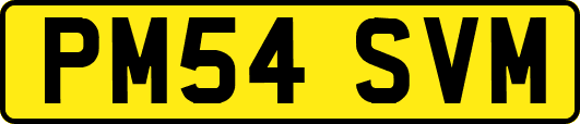 PM54SVM