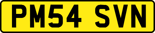 PM54SVN