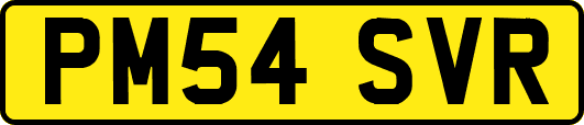 PM54SVR