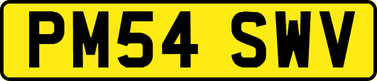 PM54SWV