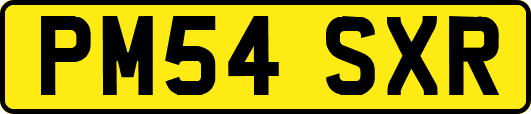 PM54SXR
