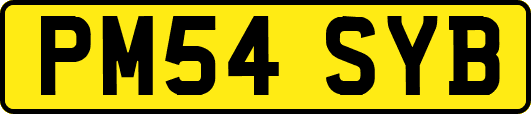 PM54SYB