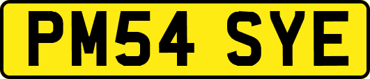 PM54SYE