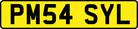 PM54SYL