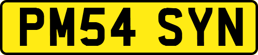 PM54SYN