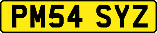 PM54SYZ