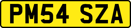 PM54SZA