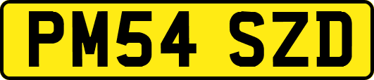 PM54SZD