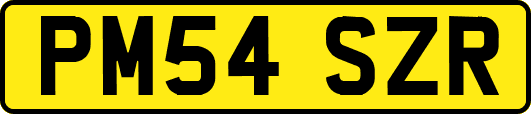 PM54SZR