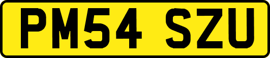 PM54SZU