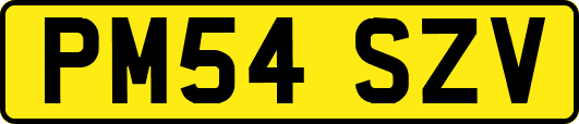 PM54SZV