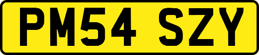 PM54SZY
