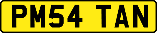 PM54TAN
