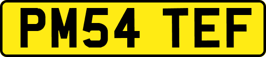 PM54TEF