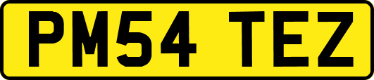 PM54TEZ