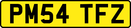 PM54TFZ