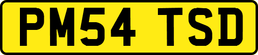 PM54TSD