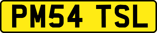 PM54TSL