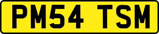 PM54TSM