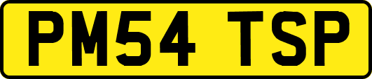 PM54TSP