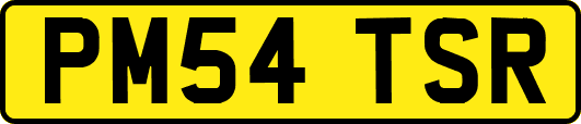 PM54TSR