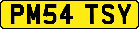 PM54TSY