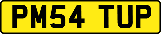 PM54TUP