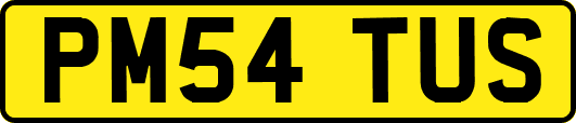 PM54TUS
