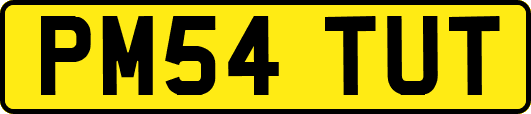 PM54TUT