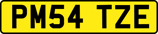 PM54TZE