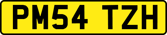 PM54TZH