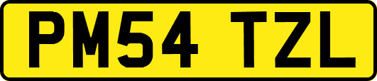 PM54TZL