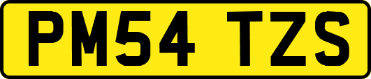 PM54TZS
