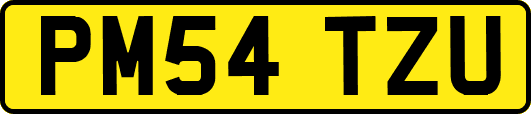 PM54TZU