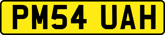 PM54UAH