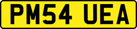 PM54UEA