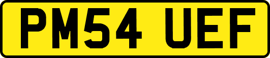 PM54UEF