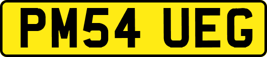 PM54UEG