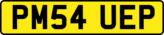 PM54UEP