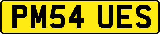 PM54UES