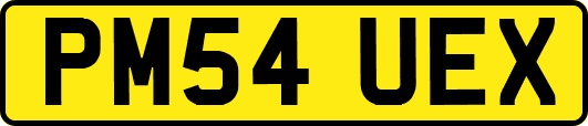 PM54UEX
