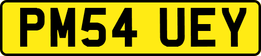PM54UEY