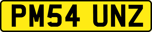 PM54UNZ
