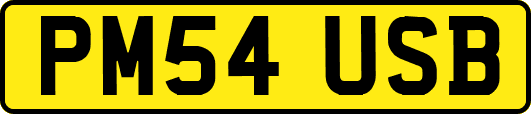 PM54USB