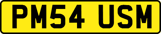 PM54USM
