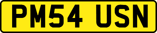 PM54USN