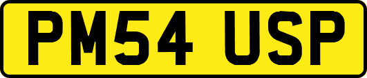 PM54USP
