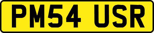 PM54USR