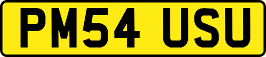 PM54USU