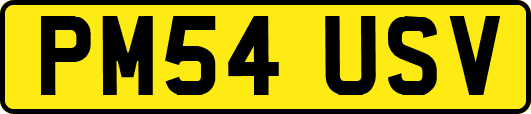 PM54USV